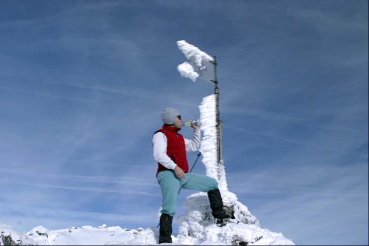 WILDHUSER SCHAFBERG