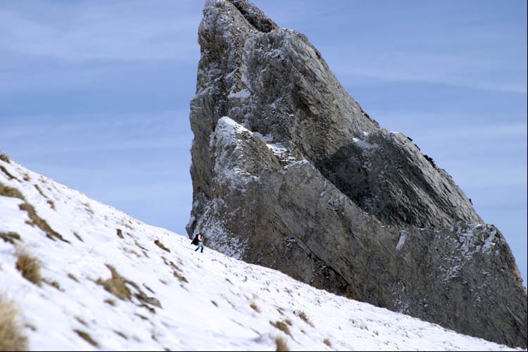 WILDHUSER SCHAFBERG