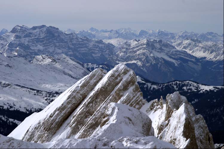 WILDHUSER SCHAFBERG