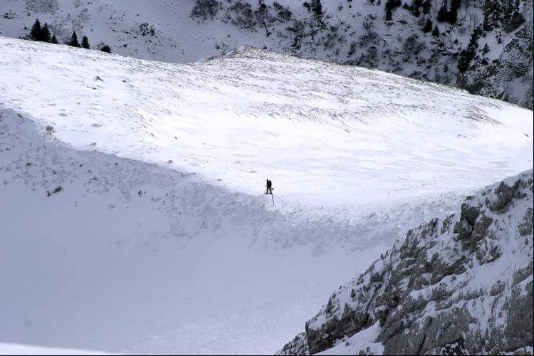 WILDHUSER SCHAFBERG