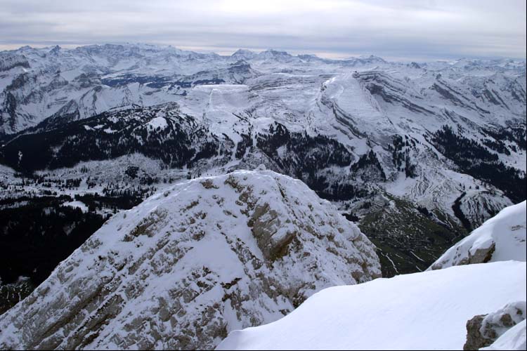 WILDHUSER SCHAFBERG