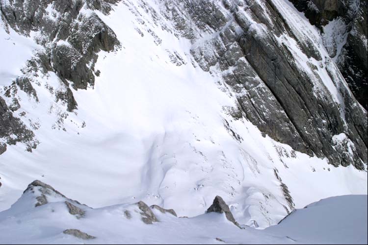 WILDHUSER SCHAFBERG