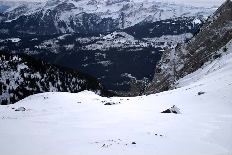 WILDHUSER SCHAFBERG