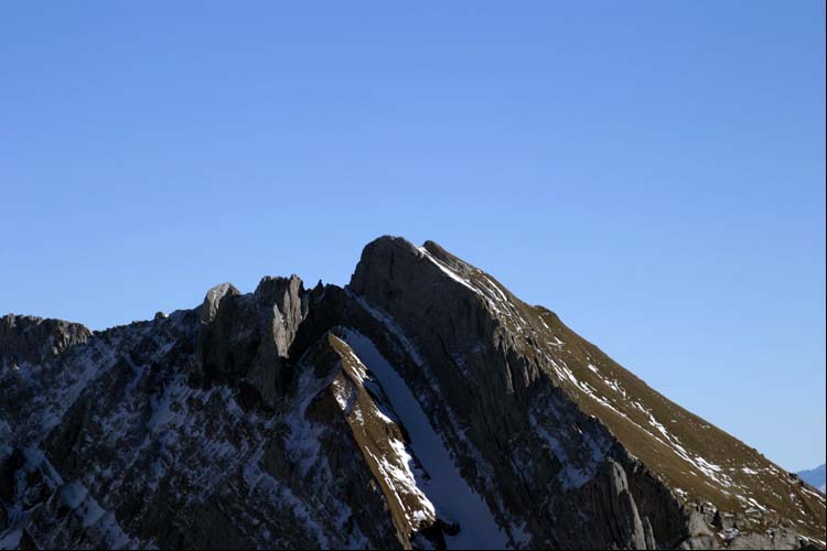 WILDHUSER SCHAFBERG