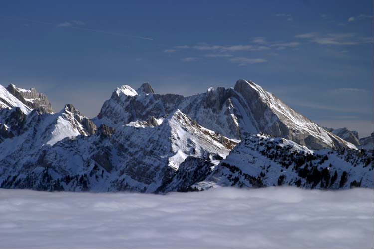 WILDHUSER SCHAFBERG SG