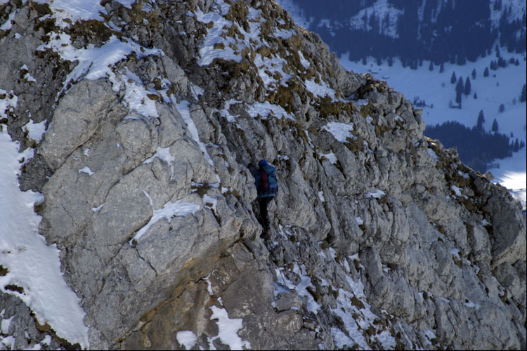 WILDHUSER SCHAFBERG