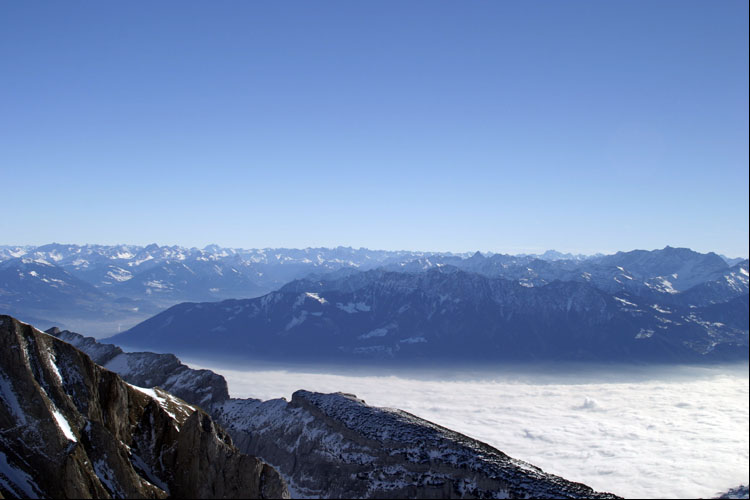 WILDHUSER SCHAFBERG