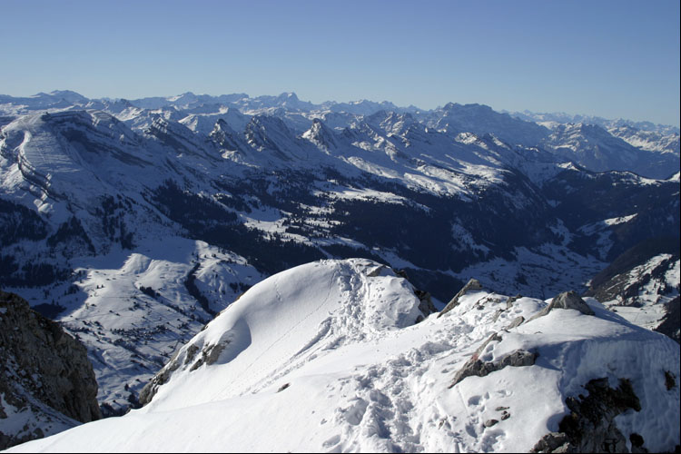 WILDHUSER SCHAFBERG