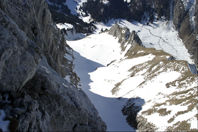 WILDHUSER SCHAFBERG