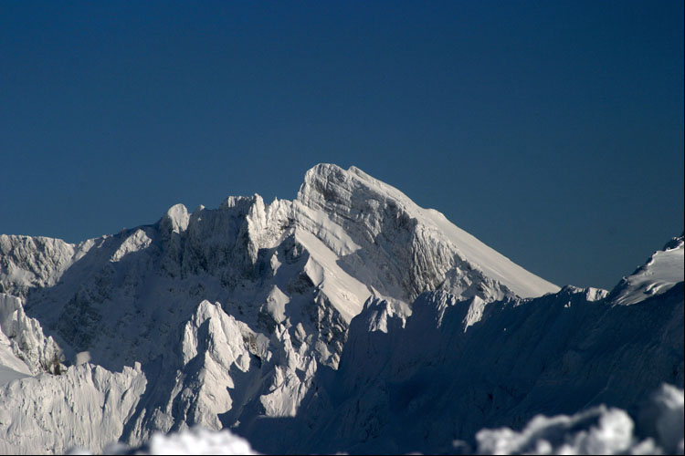 WILDHUSER SCHAFBERG