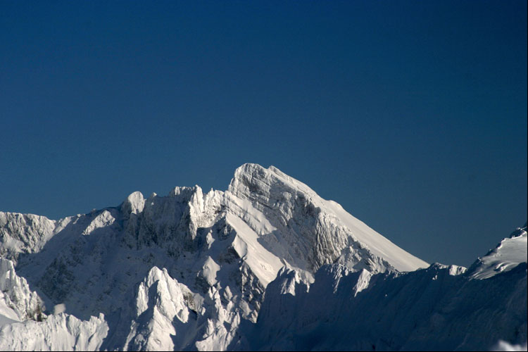 WILDHUSER SCHAFBERG