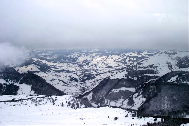 SELAMATT