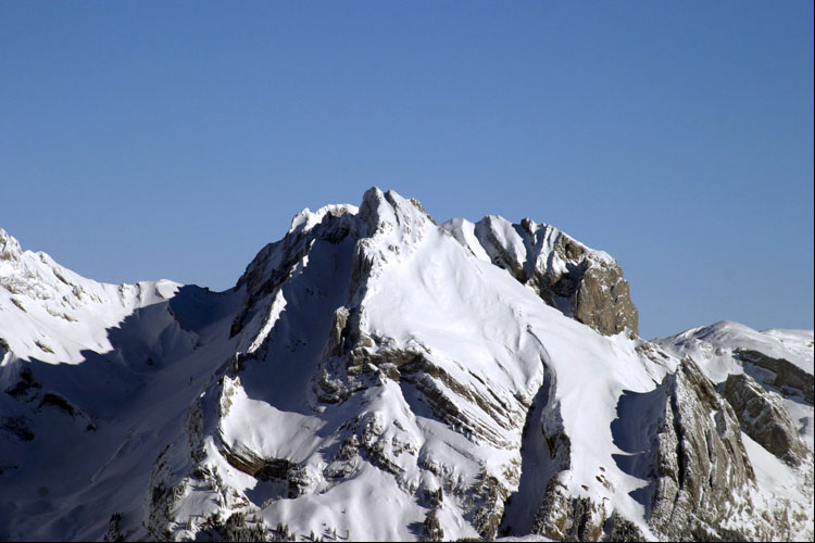 WILDHUSER SCHAFBERG