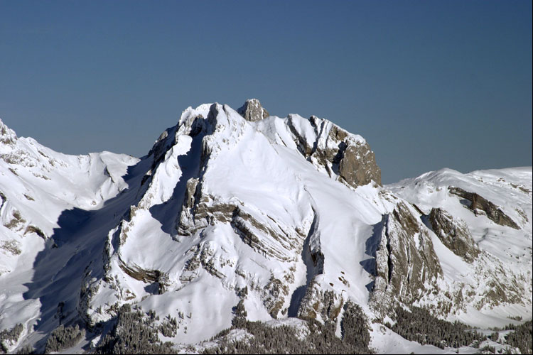 WILDHUSER SCHAFBERG