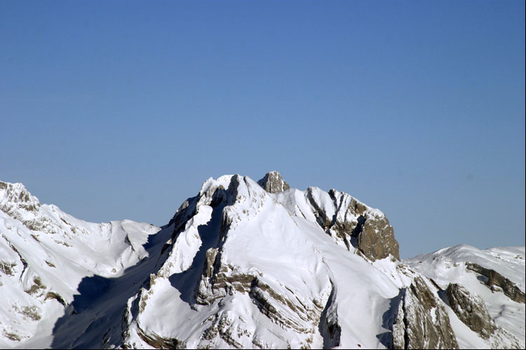 WILDHUSER SCHAFBERG