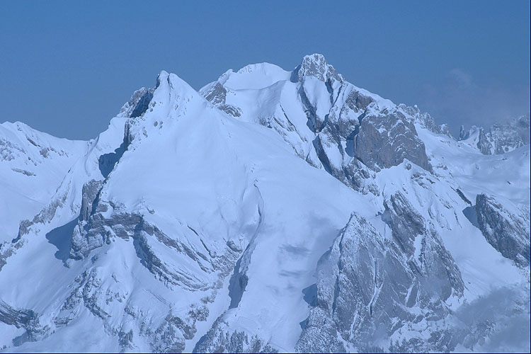 WILDHUSER SCHAFBERG