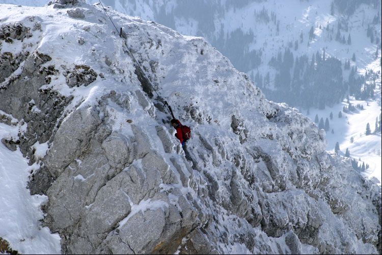 WILDHUSER SCHAFBERG