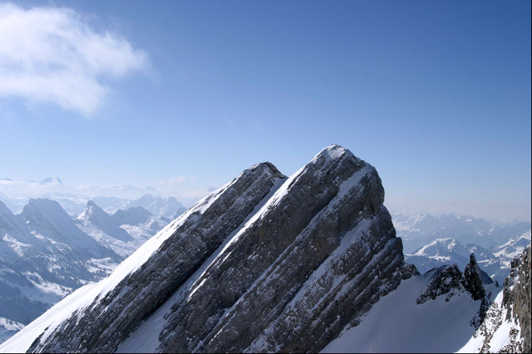 WILDHUSER SCHAFBERG