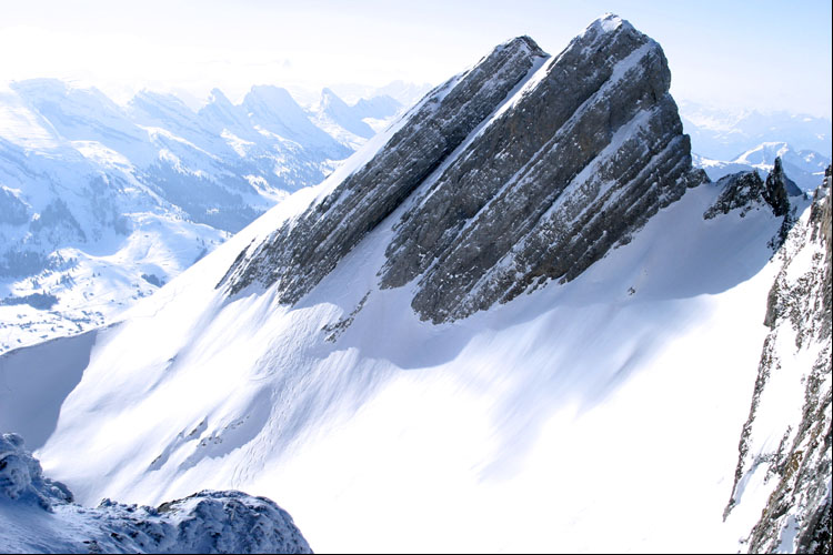 WILDHUSER SCHAFBERG