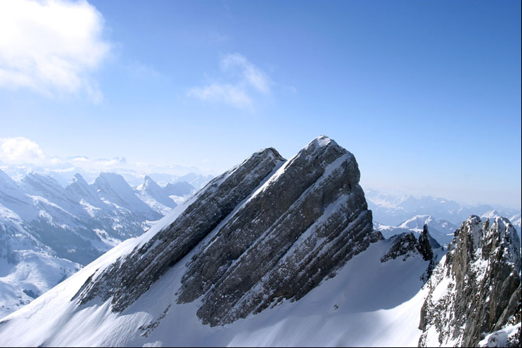 WILDHUSER SCHAFBERG