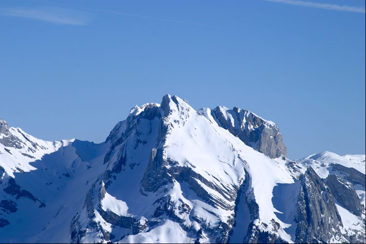 WILDHUSER SCHAFBERG