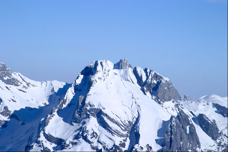 WILDHUSER SCHAFBERG