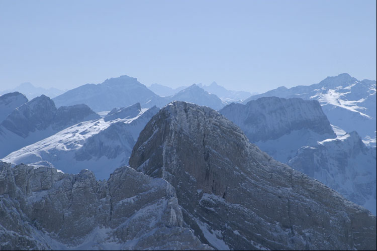 WILDHUSER SCHAFBERG