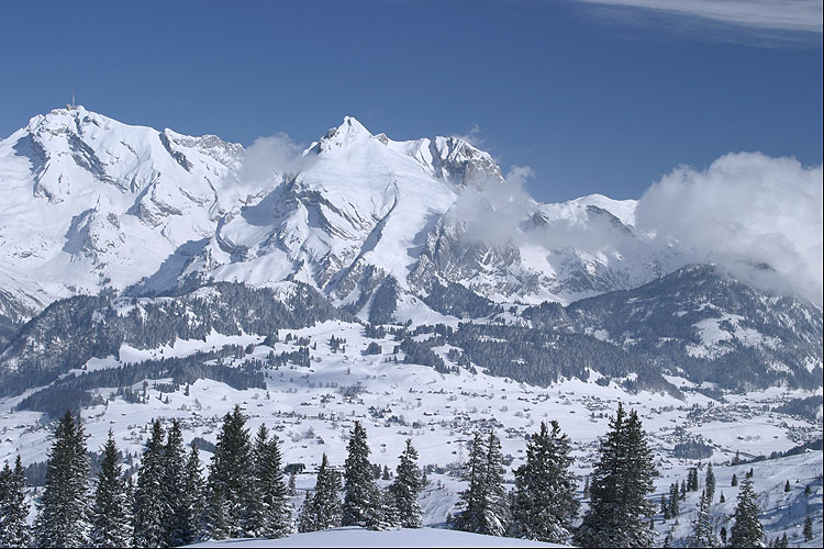 WILDHUSER SCHAFBERG