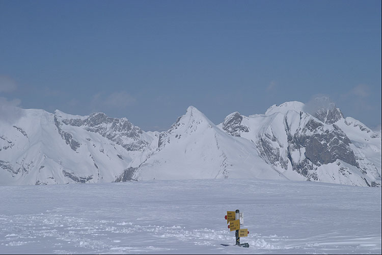 WILDHUSER SCHAFBERG