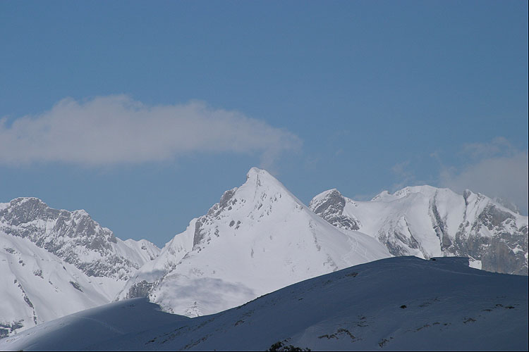 WILDHUSER SCHAFBERG