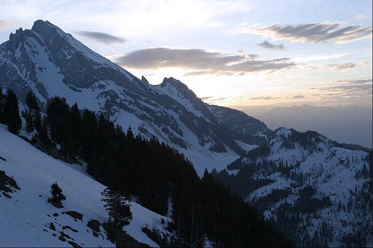 WILDHUSER SCHAFBERG