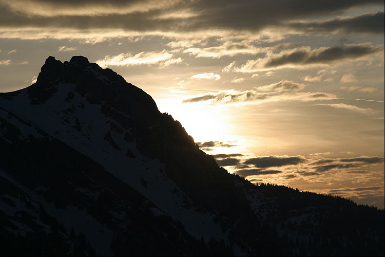 WILDHUSER SCHAFBERG