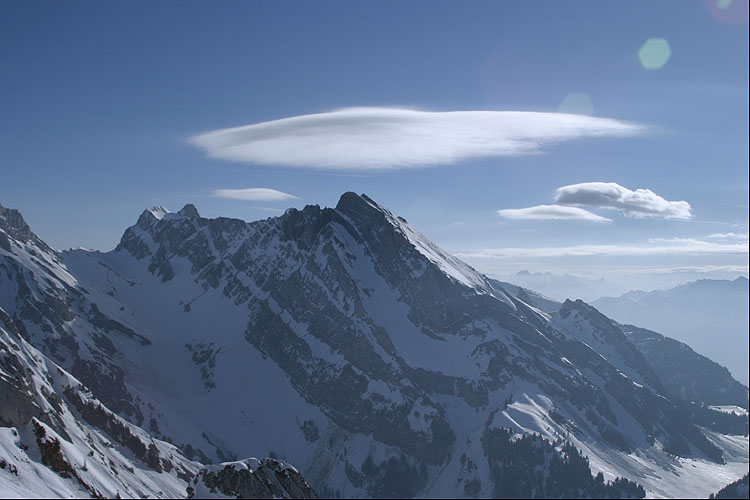 WILDHUSER SCHAFBERG