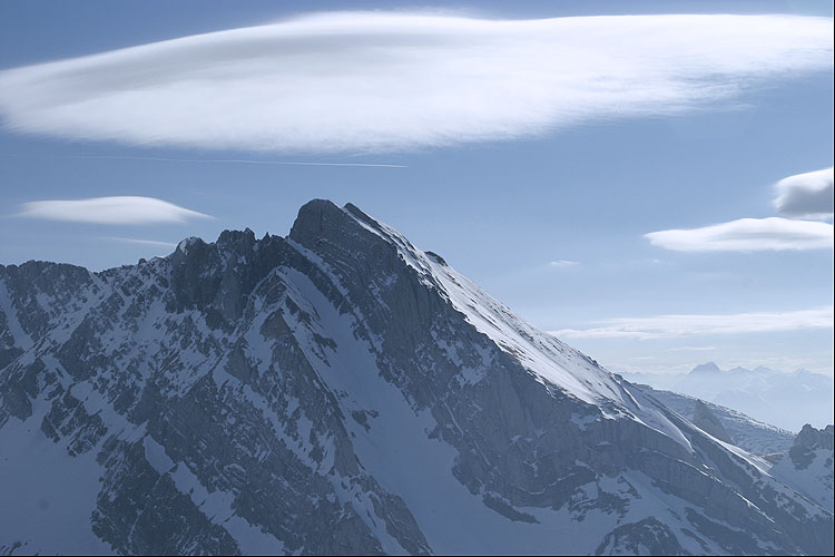 WILDHUSER SCHAFBERG