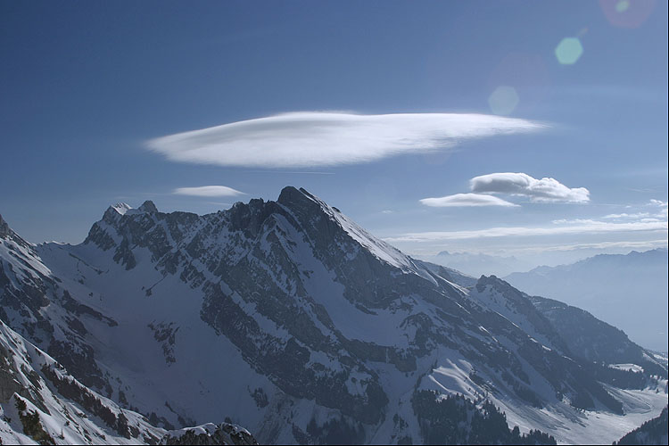 WILDHUSER SCHAFBERG