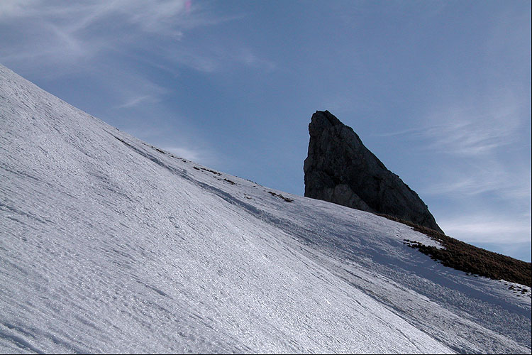 WILDHUSER SCHAFBERG