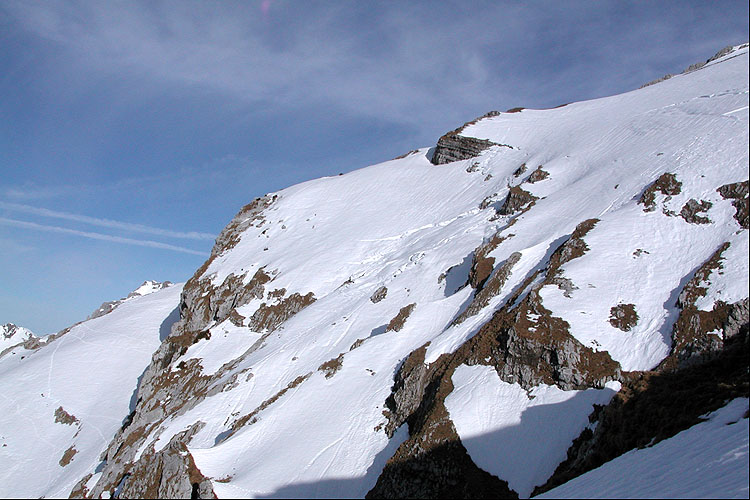 WILDHUSER SCHAFBERG