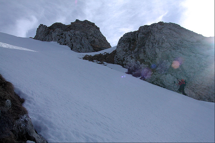 WILDHUSER SCHAFBERG