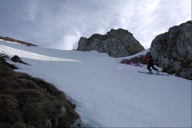 WILDHUSER SCHAFBERG