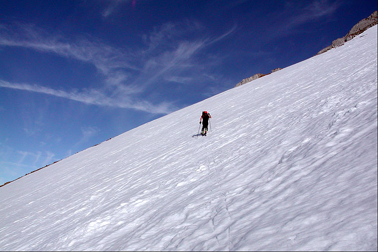 WILDHUSER SCHAFBERG