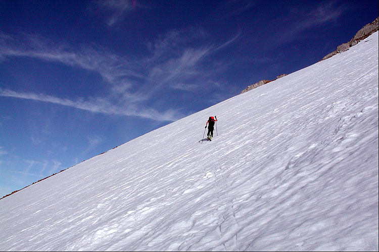 WILDHUSER SCHAFBERG