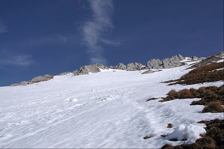 WILDHUSER SCHAFBERG