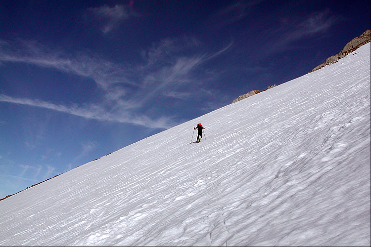 WILDHUSER SCHAFBERG