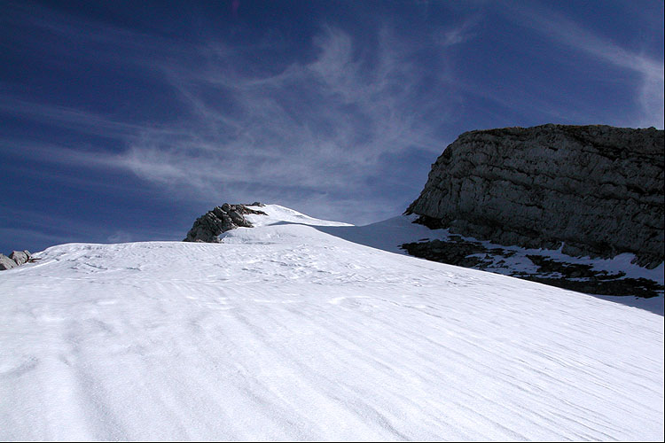 WILDHUSER SCHAFBERG