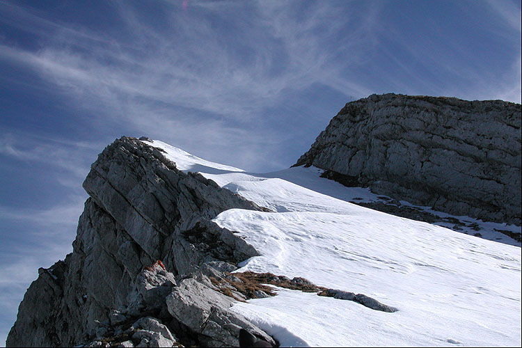 WILDHUSER SCHAFBERG