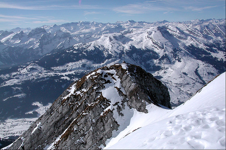 WILDHUSER SCHAFBERG