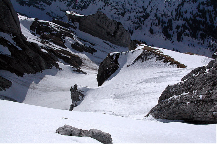 WILDHUSER SCHAFBERG