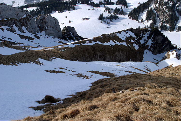 WILDHUSER SCHAFBERG