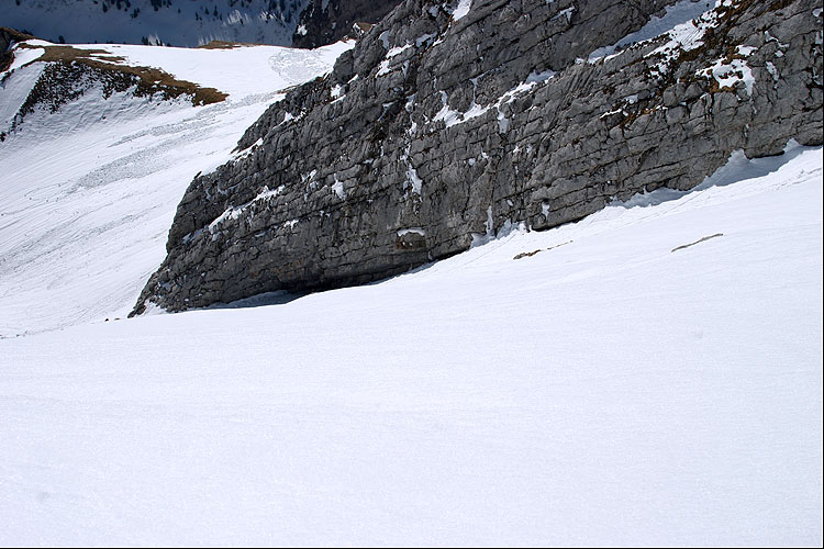 WILDHUSER SCHAFBERG