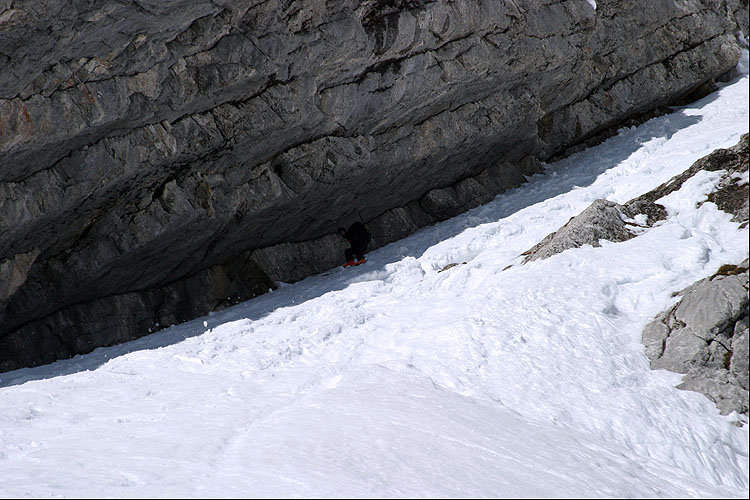 WILDHUSER SCHAFBERG